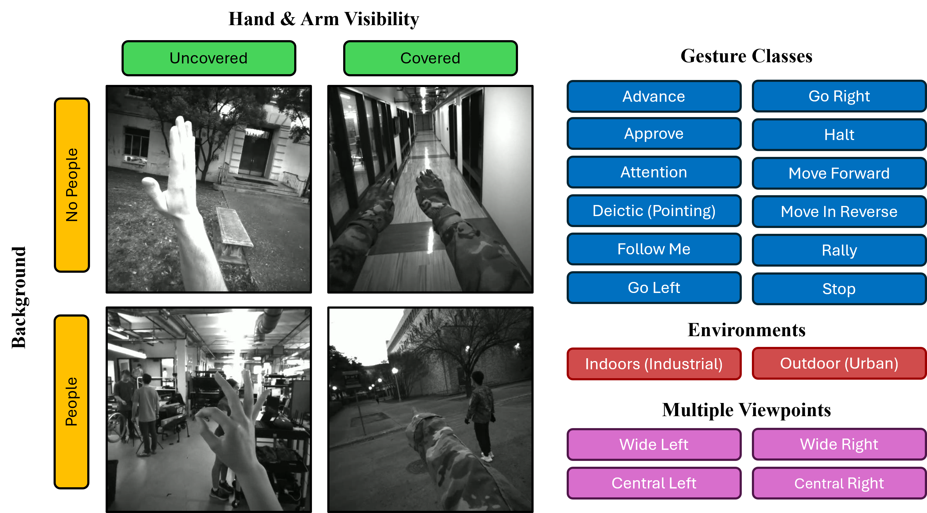 EgoNRG Dataset Overview